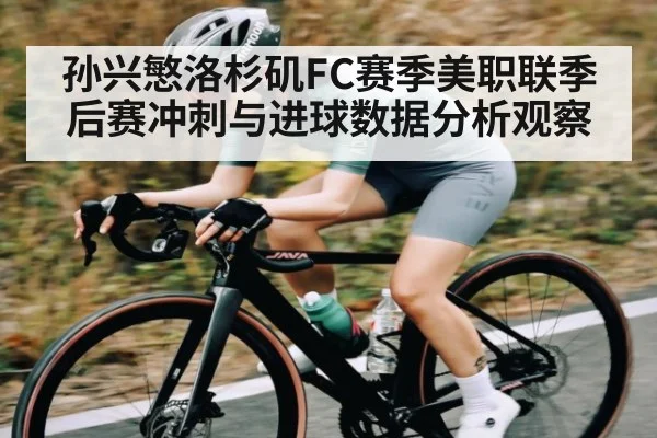 孙兴慜洛杉矶FC赛季美职联季后赛冲刺与进球数据分析观察