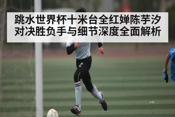 跳水世界杯十米台全红婵陈芋汐对决胜负手与细节深度全面解析